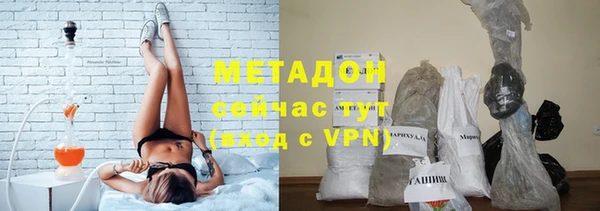 стаф Алзамай