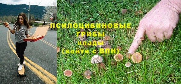 стаф Алзамай