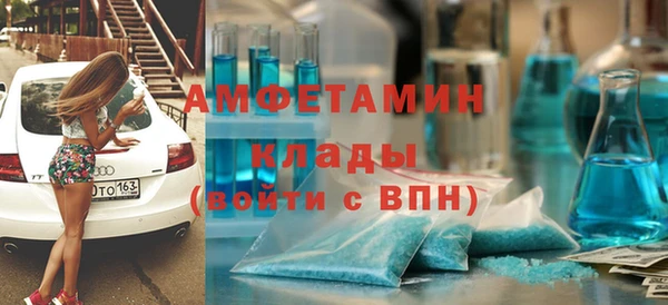 стаф Алзамай